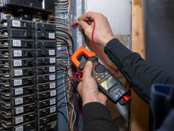 Best Ceiling Fan Installation Electrician  in Epworth, IA